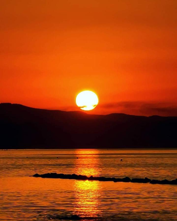 Romana Villa Agia Napa
